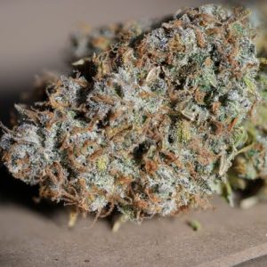 Jealousy Feminized Seeds  - Bulk 100