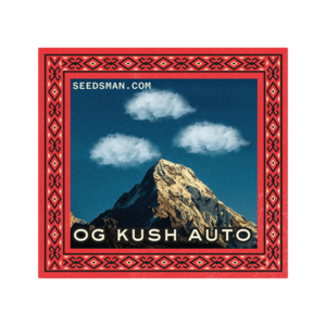 OG Kush Auto Feminised Seeds