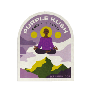 Purple Kush CBD 1:1 Auto Feminised Seeds