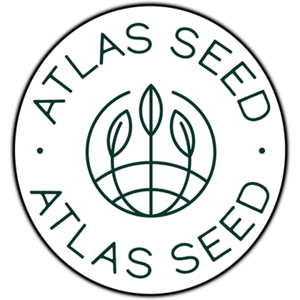 GMO FAST Feminised Seeds