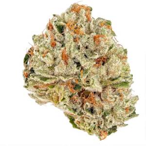 Socrates Sour Feminised Seeds