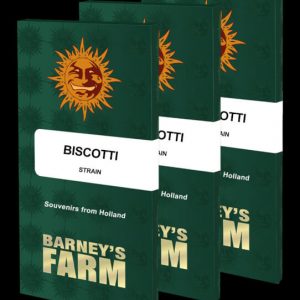 Biscotti Feminised Seeds