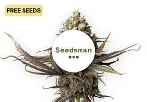 SEEDSMAN FREESEEDS 2x